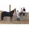 Chemise séchante Equitheme Cool Dry