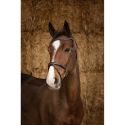 Bridon Norton Pro Perle