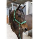 Licol + longe Hansy (plusieurs tailles et couleurs)
