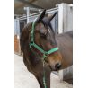 Licol + longe Hansy (plusieurs tailles et couleurs)