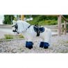 Tapis pour Pony Academy
