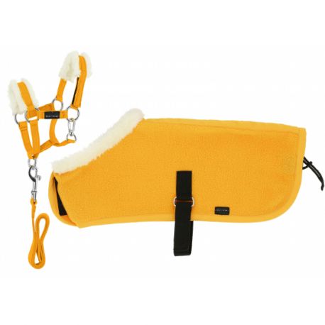 Set mini licol + couverture Pony Academy