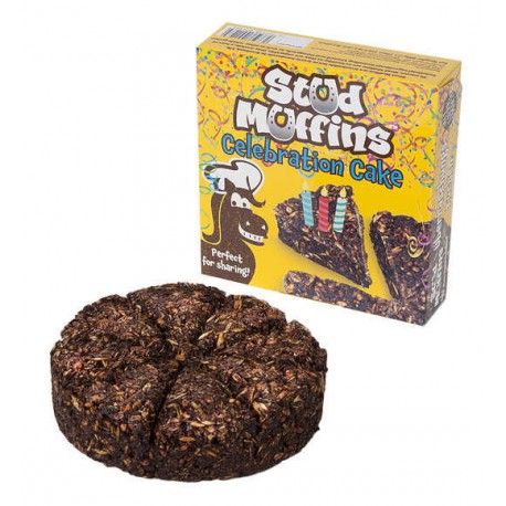 Celebration Cake Stud Muffin