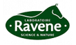 RAVENE